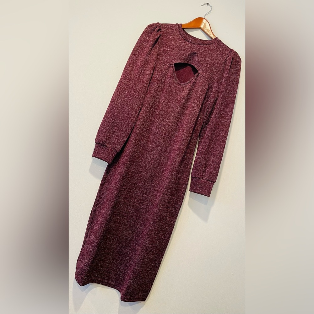 Walter Baker fortune dress plum heather 💃 - Picture 8 of 8
